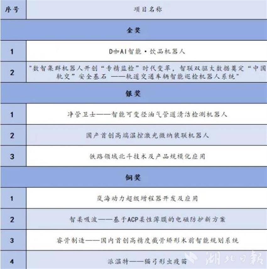 青春筑梦 科创未来——2024年“创青春”湖北青年创新创业大赛（科技创新专项）圆满落幕